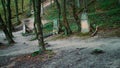 Old cemetery with Jewish tombstones