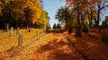 SOUTHBRIDGE, MASSACHUSETS. USA - NOVEMBER 17 2017. Old cemetery landscape during the autum fall halloween covered in beautiful col Royalty Free Stock Photo