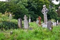 Old cemetery of the Muckross Abbey ruins, Ireland Royalty Free Stock Photo