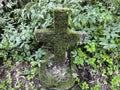 The old cemetery. A small abandoned children`s grave a hundred years old with a stone cross covered with moss