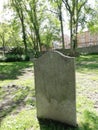 Old cemetery tombstone un a park