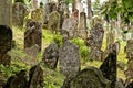 Old cemetery tombstones from backside Royalty Free Stock Photo