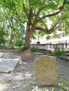 Old Cemetery Tombstones in a Park