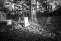 Old cemetery and tombstones in rural town, black and white Royalty Free Stock Photo