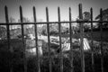 Old cemetery and tombstones in rural town, black and white Royalty Free Stock Photo