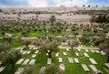 Old cemetry in Jerusalem Royalty Free Stock Photo