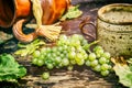 Old ceramic jug, mug and fresh grape Royalty Free Stock Photo