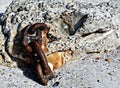 Old Chain Links in Concrete on Beach