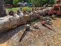 Old Forestry Equipment Royalty Free Stock Photo