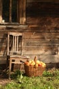 Old chair and apples Royalty Free Stock Photo