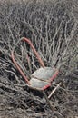 Old Chair in Thicket