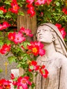 Old Chateau Cemetery on the Castle Hill, Nice, France Royalty Free Stock Photo