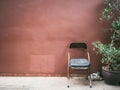 Old cheap rusty chair with plant by grunge brown wall. Royalty Free Stock Photo