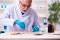 Old male chemist working in the lab Royalty Free Stock Photo