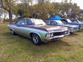 old Chevrolet Chevy Impala four door sedan late 1960s by GM. Grass and trees. Classic car show. Royalty Free Stock Photo