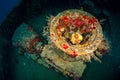 Old chimney in sunken shipwreck full of colorful coral and sponges. Wreck scuba diving