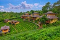 Old chinese style house in tea plantation at Ban Rak Thai the village is surrounded by mountain in Mae Hong Son, Thailand Royalty Free Stock Photo