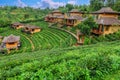 Old chinese style house in tea plantation at Ban Rak Thai the village is surrounded by mountain in Mae Hong Son, Thailand Royalty Free Stock Photo