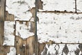 Old chipped white bark texture with staples on brown wooden planks Royalty Free Stock Photo