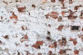 Old chipped white brick wall texture background, whitewashed Royalty Free Stock Photo