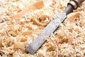 Old chisel and wood shavings Royalty Free Stock Photo