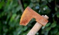 Old chopping axe Royalty Free Stock Photo