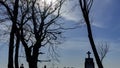 Old christian cross in a cemetery on a background of trees branches, sunlight and classic blue sky Royalty Free Stock Photo