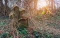 Old Christian gravestone in old abandoned cemetery.