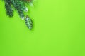 Old christmas green corn glass toy baubles on fir branch