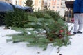 A man throws an old Christmas tree, which he brought on a plastic sleigh to waste containers.