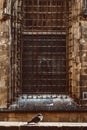 Old Church in the Gothic Quarter of Barcelona. It is aslo called as Barri Gotic Royalty Free Stock Photo