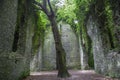 Old church ruin haunted by a witch Royalty Free Stock Photo