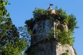 Old church tower in green bush. Spanish dome tower on blue sky. Royalty Free Stock Photo