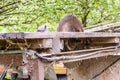 Old circular saw blade Royalty Free Stock Photo