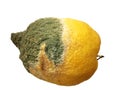 Old citrus fruit. Spoiled lemon on a white background Royalty Free Stock Photo