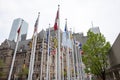 Old City Hall Toronto Royalty Free Stock Photo