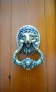 Brown wooden door of fine texture whit a metallic lion head as a door-knock