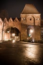 Old City Torun, Polnad Royalty Free Stock Photo