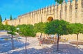 The old city wall in Calle Cairuan street, Cordoba, Spain Royalty Free Stock Photo