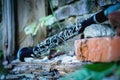 Old clarinet on a background of a beautiful old broken brick wall. Selective focus Royalty Free Stock Photo