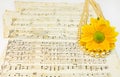Old classical music scores with pearls and flower Royalty Free Stock Photo