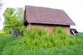 Old clay barn in farm and spring ferns