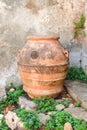 Old clay jar Royalty Free Stock Photo