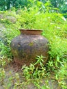 A old clay jar in the forest tree Royalty Free Stock Photo