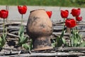 Old clay jug and tulips Royalty Free Stock Photo