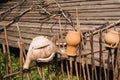 old clay pots just hang on a wicker fence. Ukrainian ethnic dishes, traditional culture of Ukraine Royalty Free Stock Photo