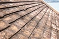 Old clay roof tiles with mold and algae