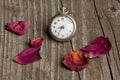 Old clock with petals of rose Royalty Free Stock Photo