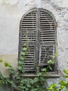 Old close window with wooden shutters surrounded by vegetation Royalty Free Stock Photo