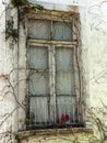 Old closed white wooden window surrounded by a dry plant and a small railing and red flowers Royalty Free Stock Photo